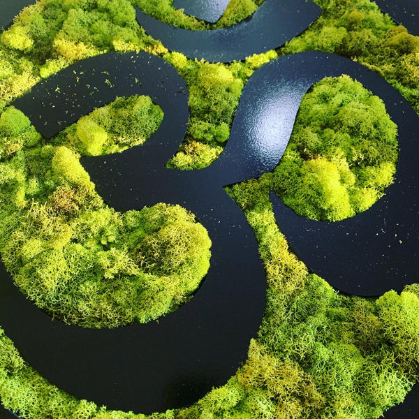 Embracing Biophilia: A Journey into Moss Vibes and the Power of Biophilic Design